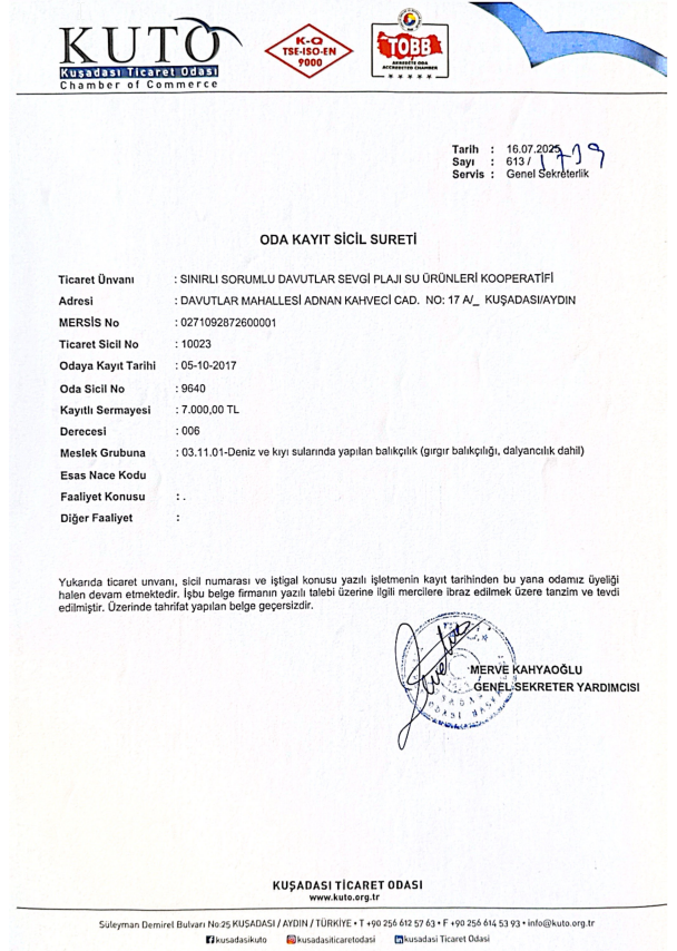 Resmi Belge
